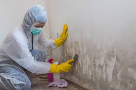 Best Real Estate Mold Inspection  in USA